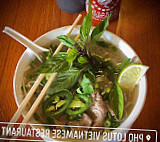 Phở Lotus Vietnamese food