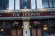 The Dolphin inside
