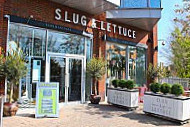 Slug Lettuce outside