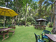 Rainforest Cafe inside