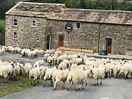 Flock To The Fold outside