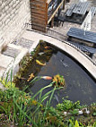 The Fishpond outside