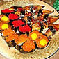 Nakama Japanese Steakhouse Sushi food