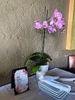Orchid Thai Cuisine inside