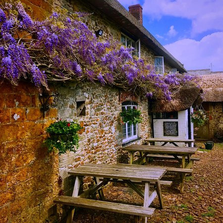 Shave Cross Inn from West Dorset Menu