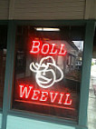Boll Weevil outside