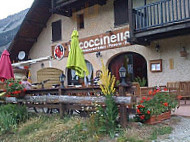 Coccinella outside