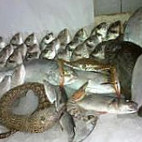 عروس البحر food