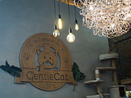 Le Gentlecat Bar A Chats Lyon Restaurant Planches Et Vins Brunch (interdit Moins De 12ans) inside