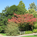 Hilliers Gardens outside