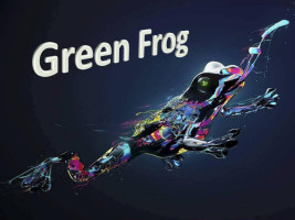 Green Frog Alto's inside