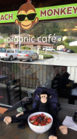 Beach Monkey Organic Cafe food
