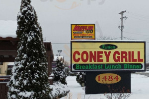 Fenton Coney Grill. food