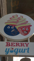 Berry Yougurt food
