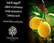 The Lemon Tree Bistrot Bio food
