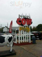 The Cow outside