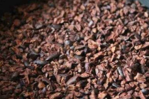 El Buen Cacao food