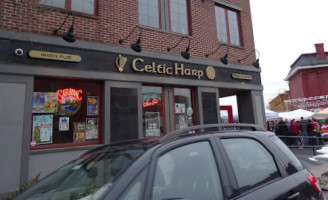 The Celtic Harp  inside