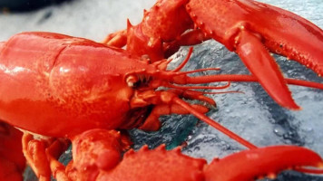 Lobster Haven food