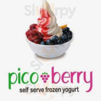 Picoberry Frozen Yogurt food