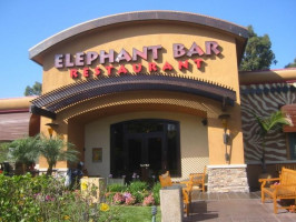 Elephant outside