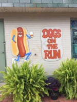 Dogs On The Run inside