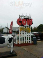 The Cow outside
