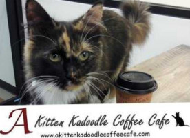 A Kitten Kadoodle Coffee Cafe food