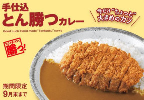 Curry House Coco Ichibanya food
