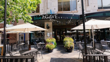 Blue Agave Grill - Denver inside