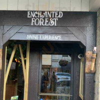 Enchanted Forest outside