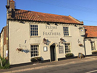 Plume Of Feathers outside