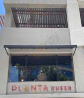 Planta Queen outside