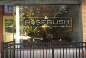 Rosebush outside