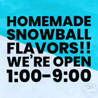 Ziggy's Ice Cream Snowballs food