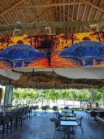 The Diving Pelican Restaurant Bar inside