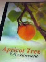 Apricot Tree Restaurant food