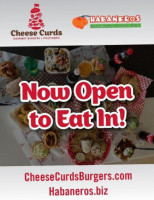 Cheese Curds Gourmet Burgers Poutinerie food