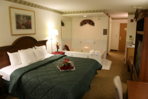Comfort Inn Suites Geneva- West Chicago inside