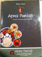 Apna Punjab food