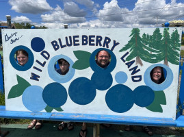 Wild Blueberry Land inside