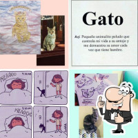 La Casa De Los Gatos Hgo menu