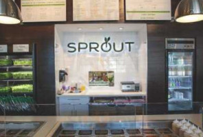 Sprout food