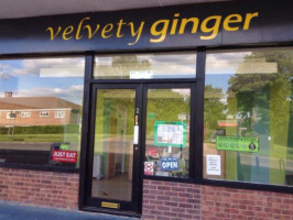 Velvety Ginger food