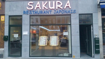 Sakura food