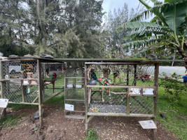 Paradise Meadows Orchard And Bee Farm, Home Of Hawaii's Local Buzz outside