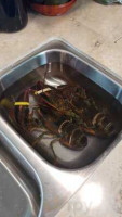 Dorr Lobster Seafood Market food