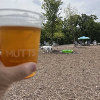 Mutts Canine Cantina Dallas food