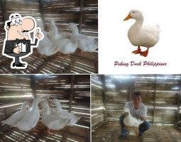 Peking Duck Philippines inside