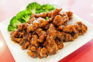 Hunan Garden Chinese food